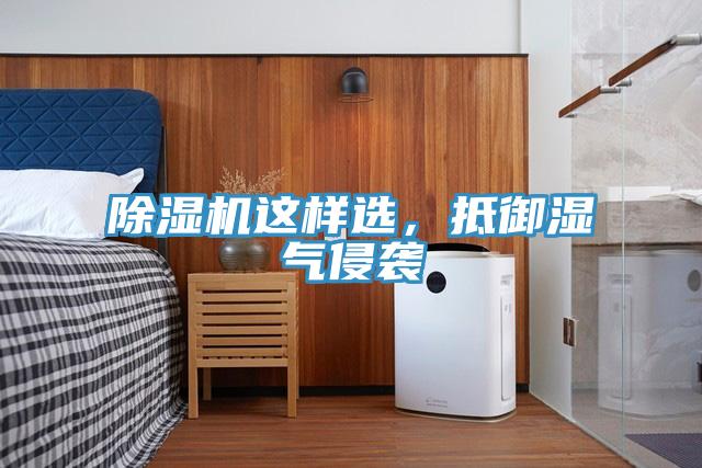 草莓污视频在线看這樣選，抵禦濕氣侵襲