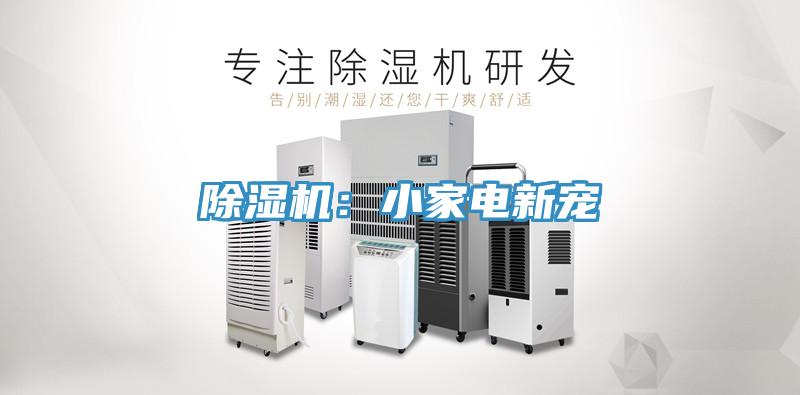 草莓污视频在线看：小家電新寵