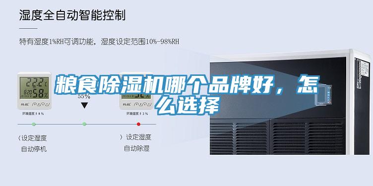 糧食草莓污视频在线看哪個品牌好，怎麽選擇