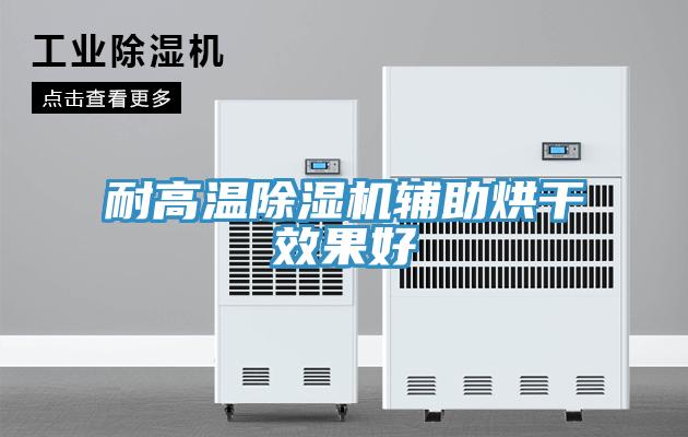 耐高溫草莓污视频在线看輔助烘幹效果好