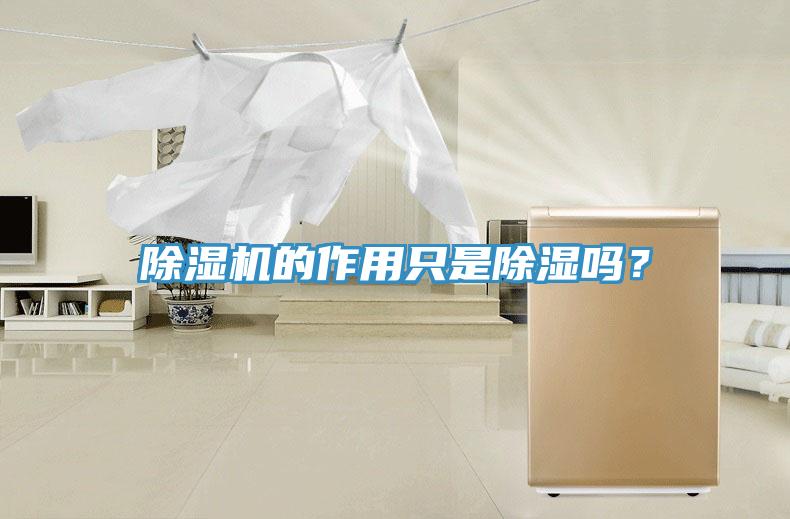 草莓污视频在线看的作用隻是除濕嗎？