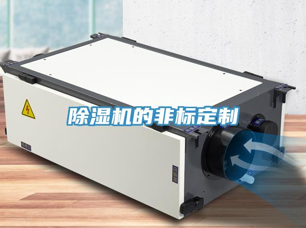 草莓污视频在线看的非標定製