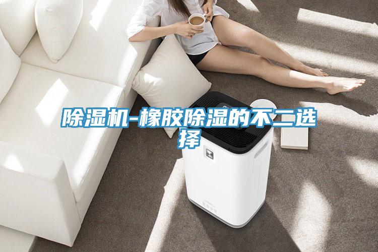 草莓污视频在线看-橡膠除濕的不二選擇