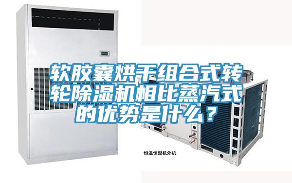 軟膠囊烘幹組合式轉輪草莓污视频在线看相比蒸汽式的優勢是什麽？