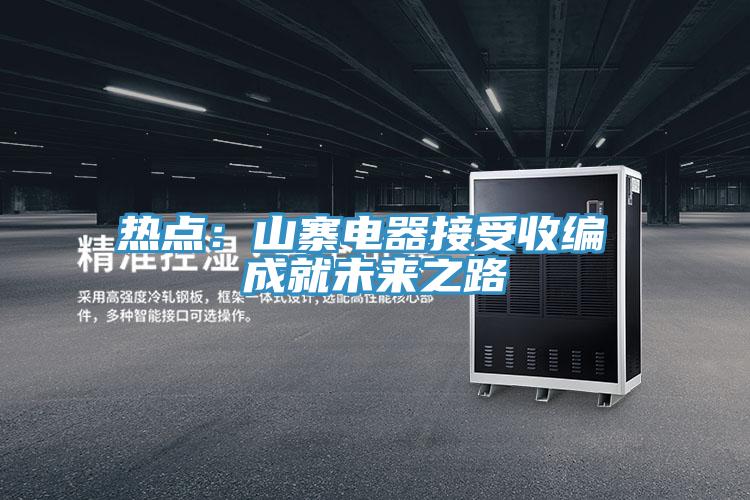 熱點：山寨電器接受收編 成就未來之路