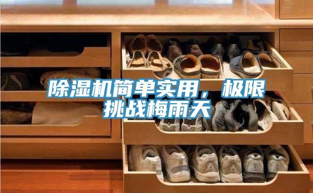 草莓污视频在线看簡單實用，極限挑戰梅雨天