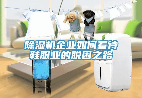 草莓污视频在线看企業如何看待鞋服業的脫困之路