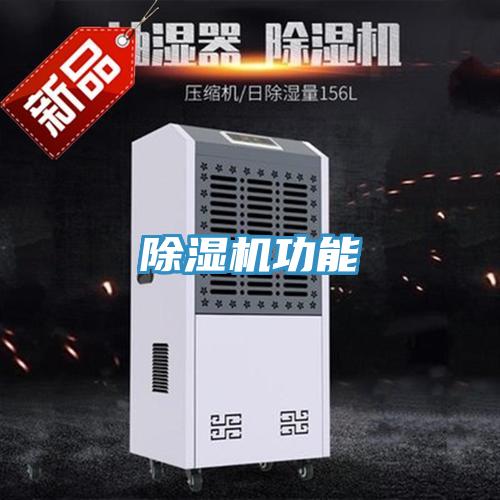 草莓污视频在线看功能