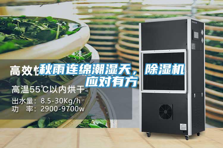 秋雨連綿潮濕天，草莓污视频在线看應對有方