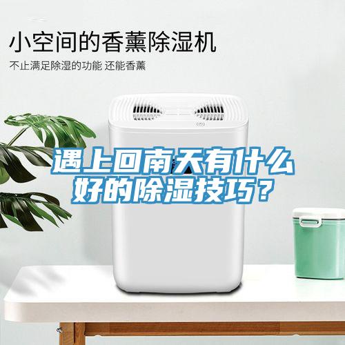 遇上回南天有什麽好的除濕技巧？