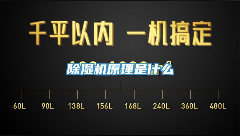 草莓污视频在线看原理是什麽