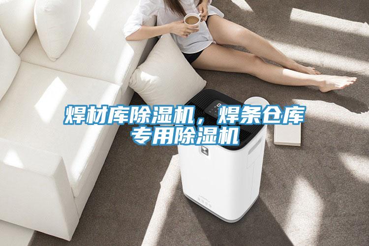 焊材庫草莓污视频在线看，焊條倉庫專用草莓污视频在线看
