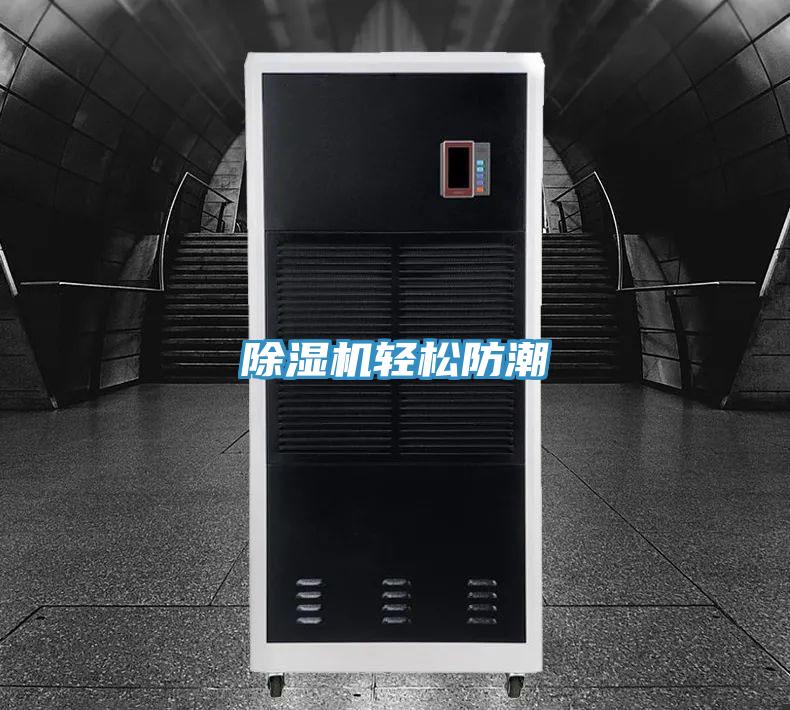 草莓污视频在线看輕鬆防潮
