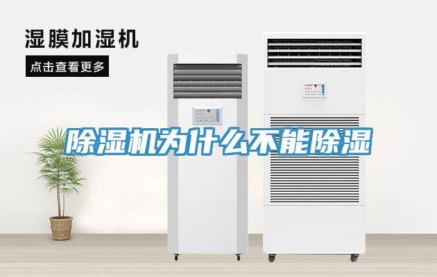 草莓污视频在线看為什麽不能除濕
