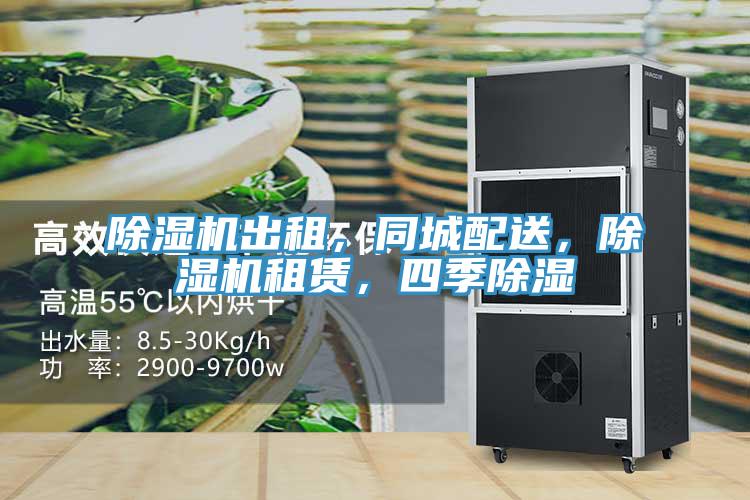 草莓污视频在线看出租，同城配送，草莓污视频在线看租賃，四季除濕