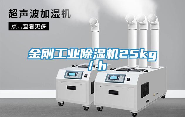 金剛工業草莓污视频在线看25kg／h
