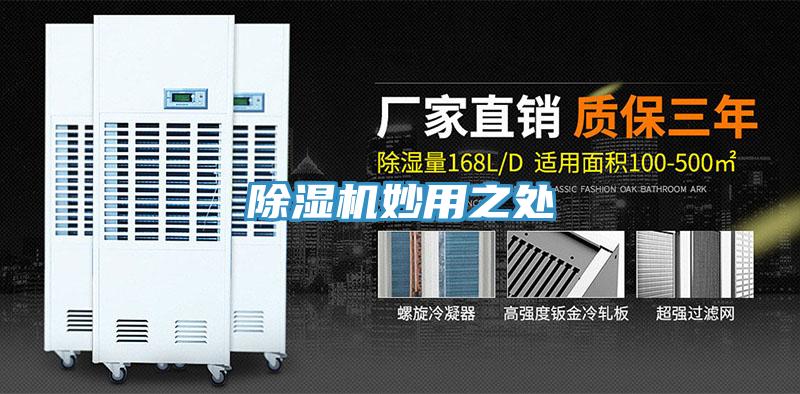 草莓污视频在线看妙用之處