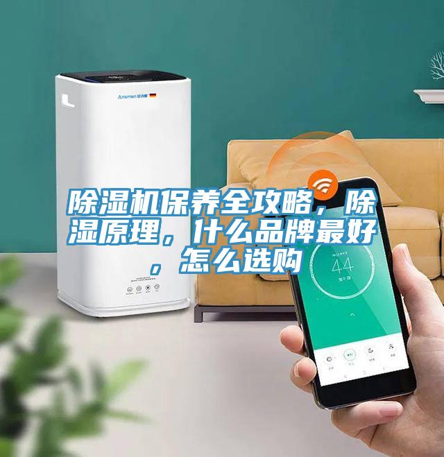 草莓污视频在线看保養全攻略，除濕原理，什麽品牌最好，怎麽選購