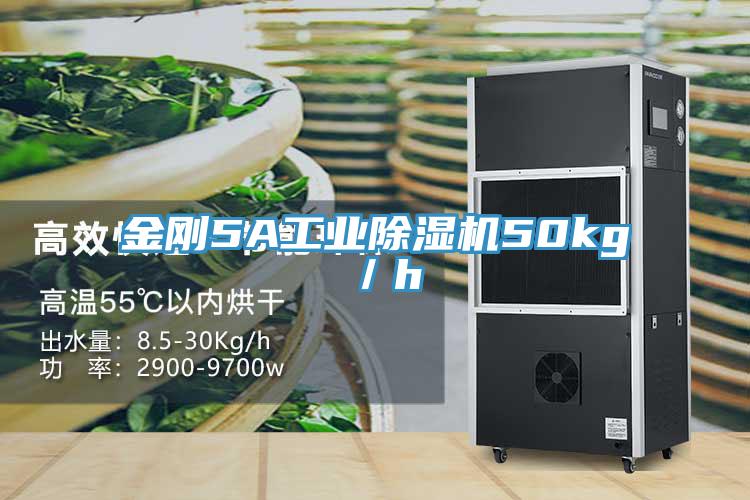 金剛5A工業草莓污视频在线看50kg／h