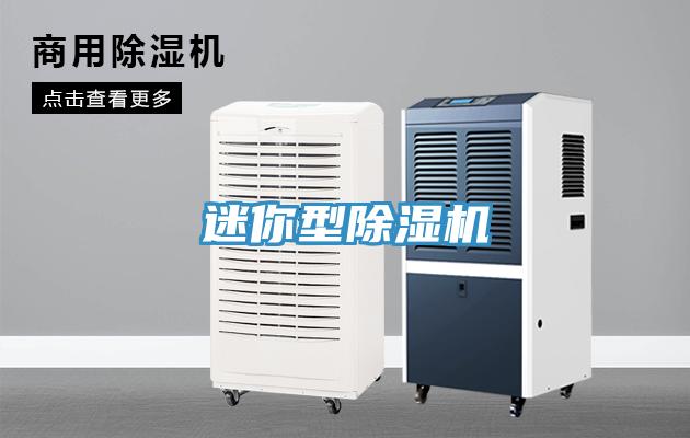 迷你型草莓污视频在线看