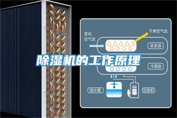 草莓污视频在线看的工作原理