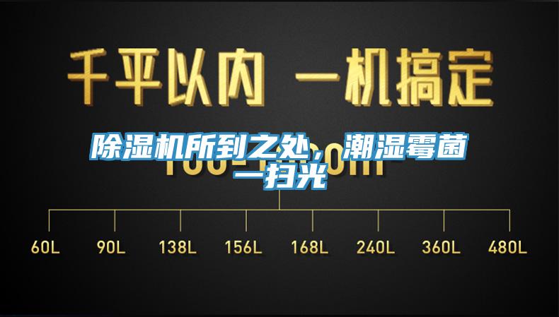 草莓污视频在线看所到之處，潮濕黴菌一掃光