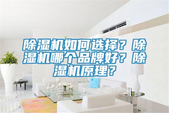草莓污视频在线看如何選擇？草莓污视频在线看哪個品牌好？草莓污视频在线看原理？