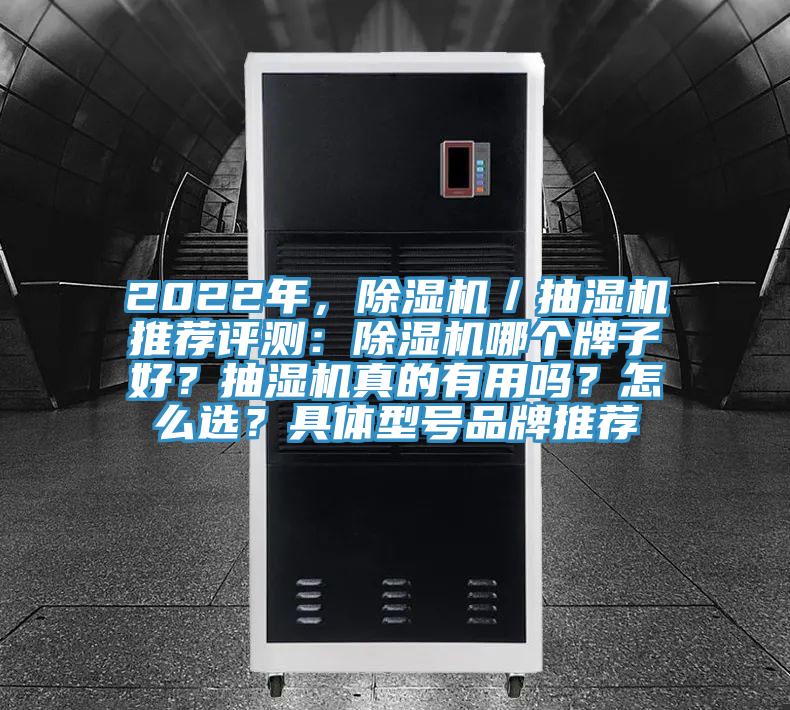 2022年，草莓污视频在线看／抽濕機推薦評測：草莓污视频在线看哪個牌子好？抽濕機真的有用嗎？怎麽選？具體型號品牌推薦