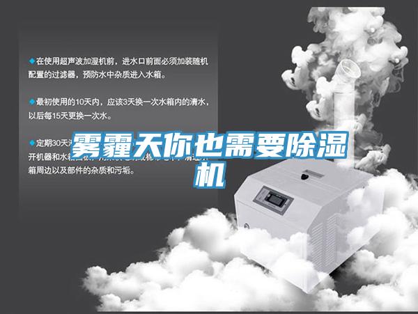 霧霾天你也需要草莓污视频在线看