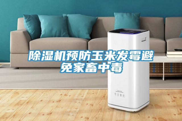 草莓污视频在线看預防玉米發黴避免家畜中毒