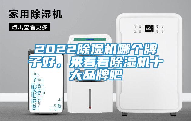 2022草莓污视频在线看哪個牌子好，來看看草莓污视频在线看十大品牌吧