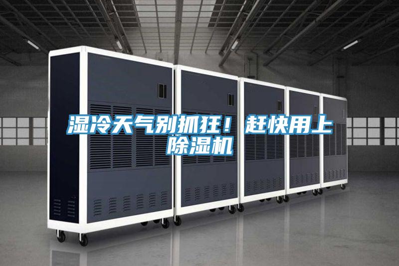 濕冷天氣別抓狂！趕快用上草莓污视频在线看
