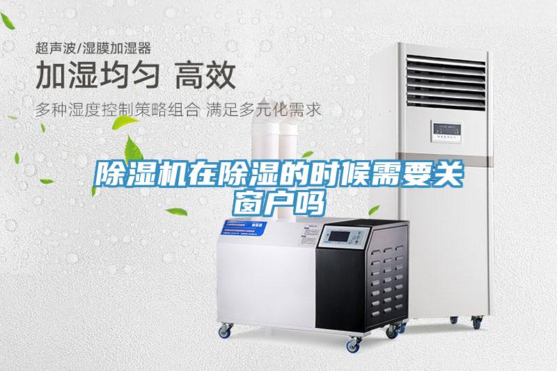 草莓污视频在线看在除濕的時候需要關窗戶嗎