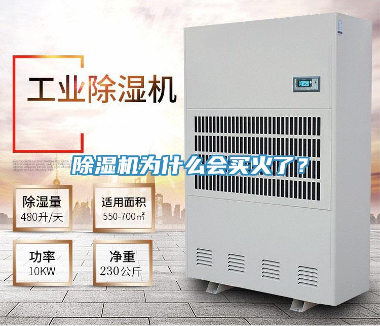 草莓污视频在线看為什麽會買火了？