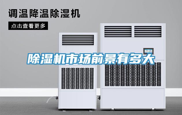 草莓污视频在线看市場前景有多大
