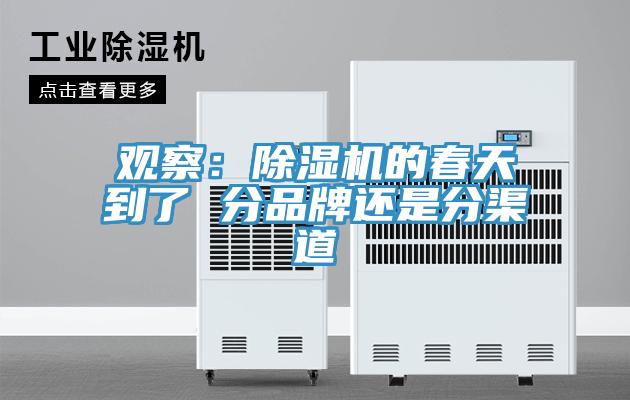 觀察：草莓污视频在线看的春天到了 分品牌還是分渠道