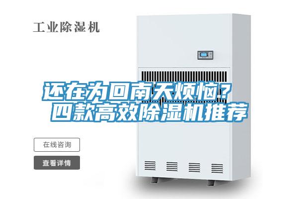還在為回南天煩惱？ 四款高效草莓污视频在线看推薦