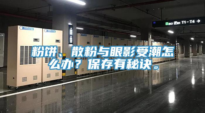 粉餅、散粉與眼影受潮怎麽辦？保存有秘訣。