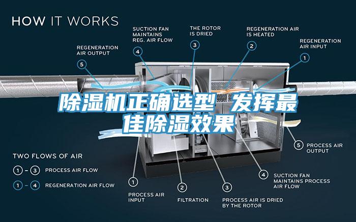 草莓污视频在线看正確選型 發揮最佳除濕效果