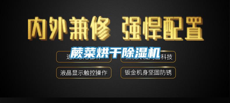 蕨菜烘幹草莓污视频在线看