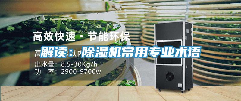 解讀：草莓污视频在线看常用專業術語