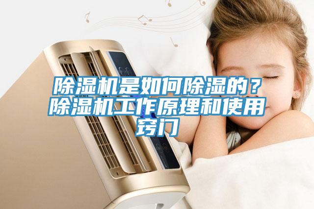 草莓污视频在线看是如何除濕的？草莓污视频在线看工作原理和使用竅門