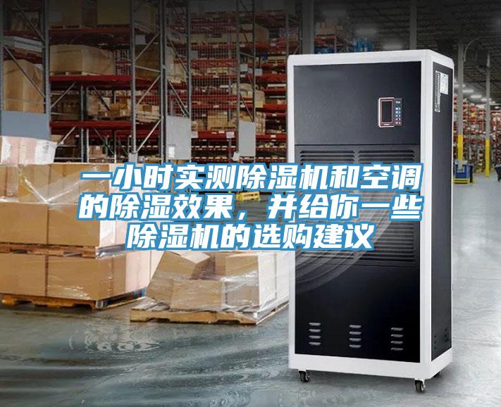 一小時實測草莓污视频在线看和空調的除濕效果，並給你一些草莓污视频在线看的選購建議
