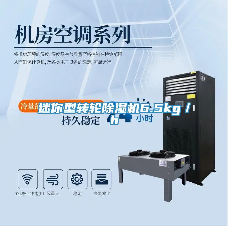 迷你型轉輪草莓污视频在线看6.5kg／h