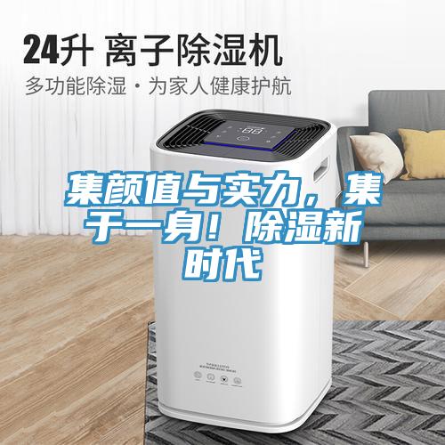 集顏值與實力，集於一身！除濕新時代