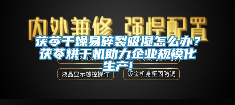 茯苓幹燥易碎裂吸濕怎麽辦？茯苓烘幹機助力企業規模化生產!