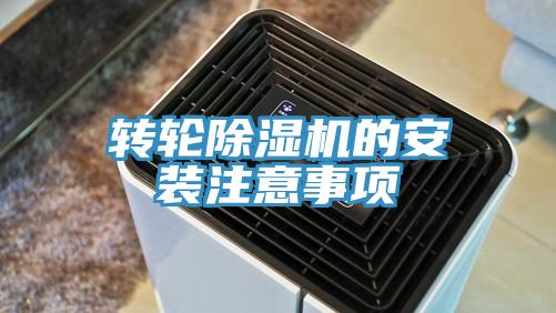 轉輪草莓污视频在线看的安裝注意事項