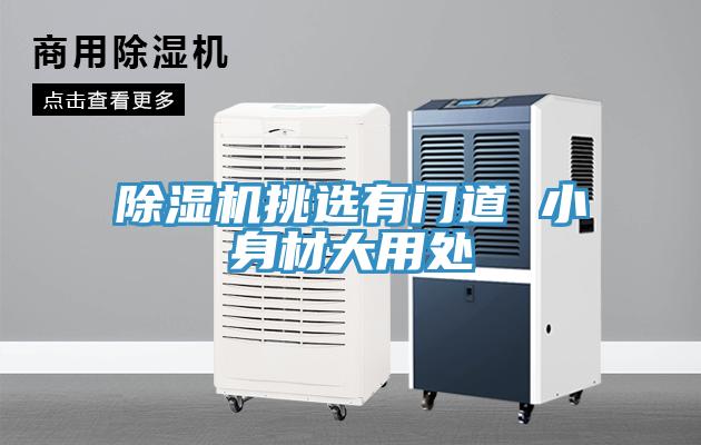 草莓污视频在线看挑選有門道 小身材大用處