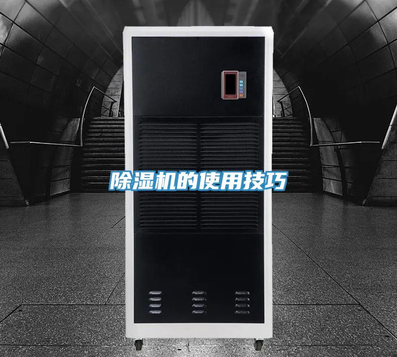 草莓污视频在线看的使用技巧