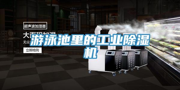 遊泳池裏的工業草莓污视频在线看